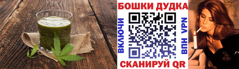 закладка  Новосокольники  Cannafood конопля 